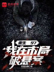 重生97,我在市局破悬案小说封面