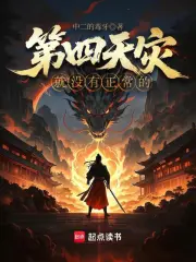 第四天灾就没有正常的小说封面