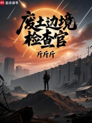 废土边境检查官小说封面