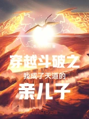 穿越斗破之我成了天道的亲儿子小说封面