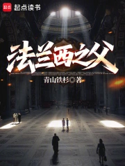 法兰西之父小说封面