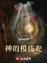神的模仿犯小说封面