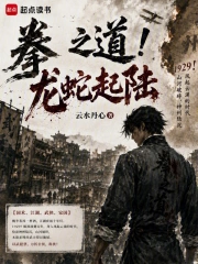 拳之道!龙蛇起陆小说封面