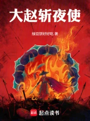 大赵斩夜使小说封面