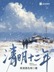 清明十二年小说封面