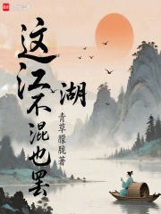 这江湖不混也罢小说封面