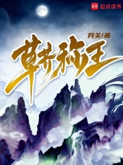 草芥称王小说封面
