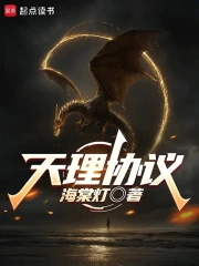 天理协议小说封面