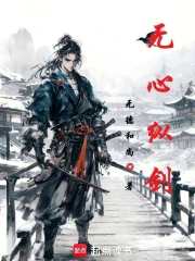 无心纵剑小说封面