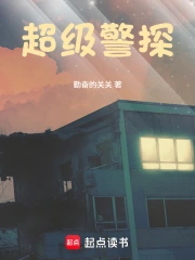 超级警探小说封面