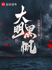 大明黑帆小说封面