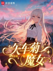 矢车菊魔女小说封面