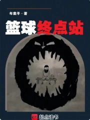 篮球终点站小说封面
