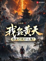 我名黄天,苍天已死什么鬼?小说封面