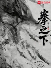 拳之下小说封面
