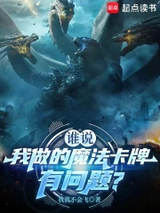 谁说我做的魔法卡牌有问题?小说封面