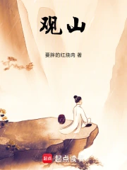 观山!小说封面