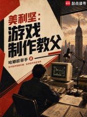 美利坚:游戏制作教父小说封面