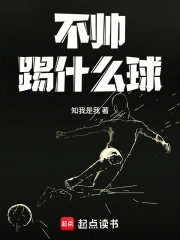 不帅踢什么球小说封面