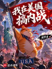 我在美国搞内战小说封面