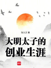 大明太子的创业生涯小说封面