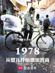 1978:从婴儿开始增加智商小说封面