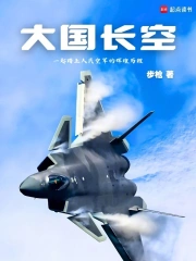 大国长空小说封面