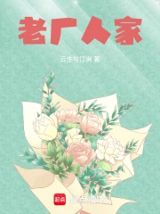 老厂人家小说封面