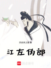 江左伪郎小说封面