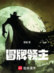 冒牌领主小说封面