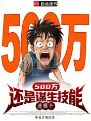 500万还是谋生技能,选哪个小说封面