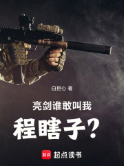 亮剑:谁敢叫我程瞎子?小说封面