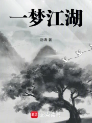 一梦江湖小说封面