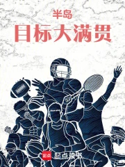 半岛:目标大满贯小说封面