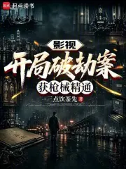 影视:开局破劫案,获枪械精通小说封面