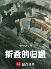 折叠的归途小说封面