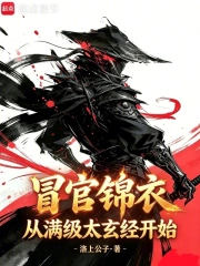 冒官锦衣,从满级太玄经开始小说封面