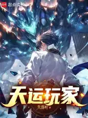 天运玩家小说封面