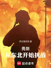 亮剑:从东北开始抗战小说封面