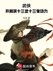 武侠:开局获十三龙十三象功力小说封面