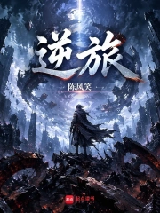 逆旅小说封面