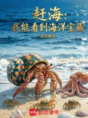 赶海:我能看到海洋宝藏小说封面