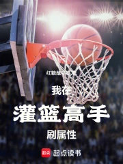 我在灌篮高手刷属性小说封面