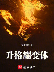 升格耀变体小说封面