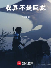 我真不是巨龙小说封面
