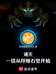 诸天:一切从拜师石坚开始!小说封面