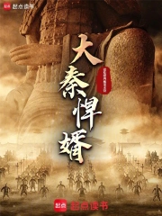 大秦悍婿小说封面