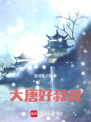 大唐好叔叔小说封面