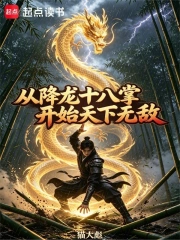 从降龙十八掌开始天下无敌小说封面