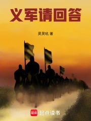 义军群聊,从朱元璋开始小说封面